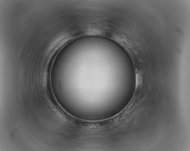 X0000111920243200908031210