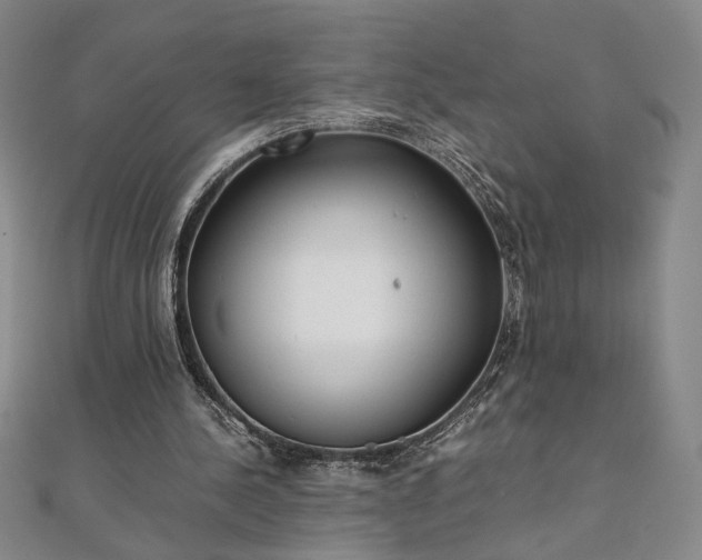 X0000111920244200908031210