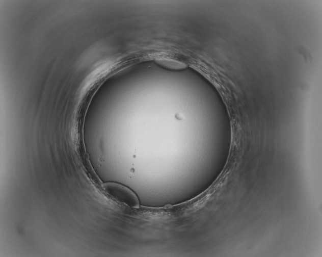 X0000111920245200908031210