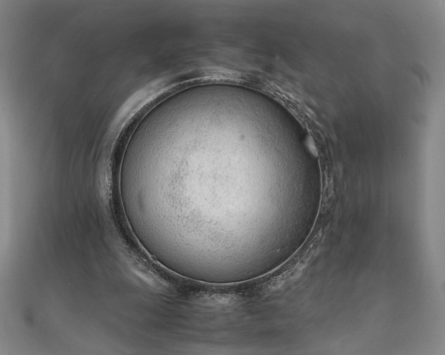 X0000111920247200908031210