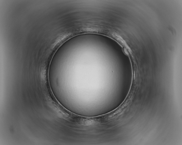 X0000111920249200908031210