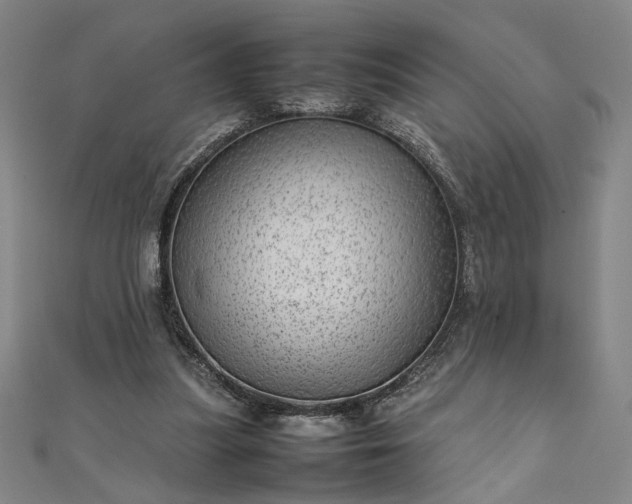 X0000111920251200908031210