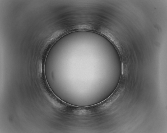 X0000111920253200908031211