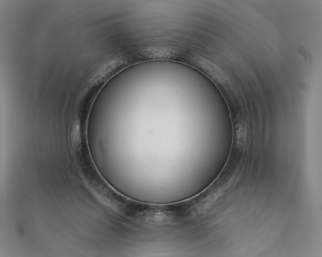 X0000111920254200908031211