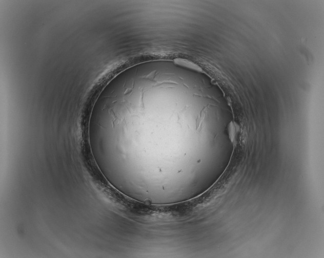 X0000111920256200908031211