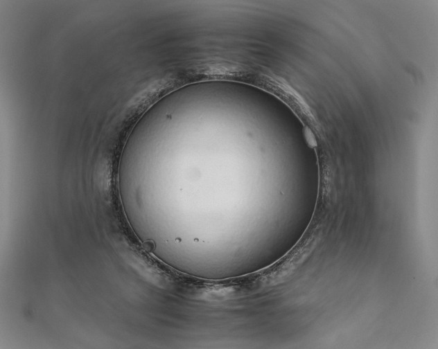 X0000111920257200908031211