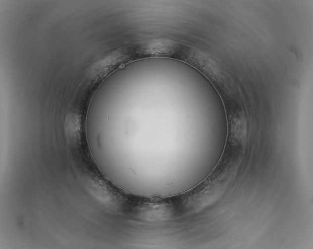 X0000111920260200908031211