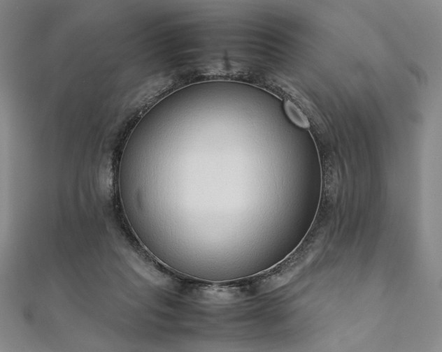 X0000111920261200908031211