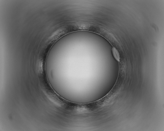 X0000111920262200908031211