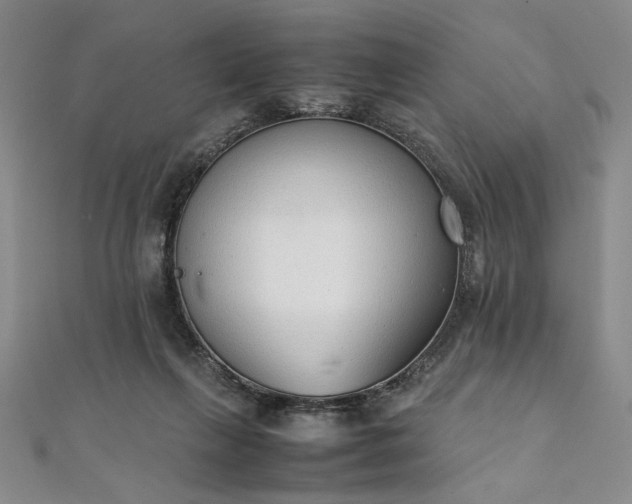 X0000111920263200908031211