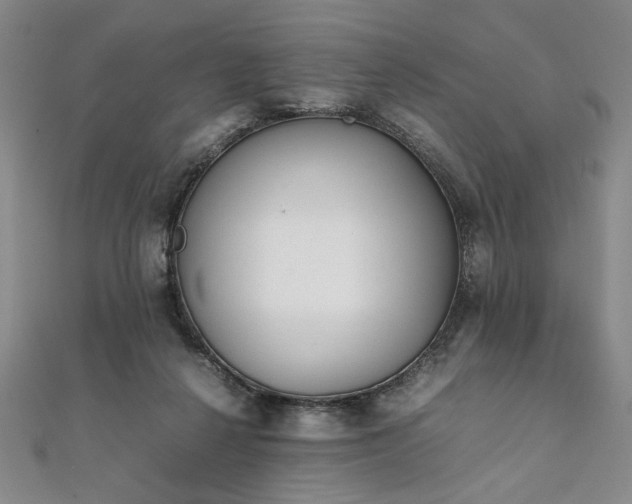 X0000111920264200908031211