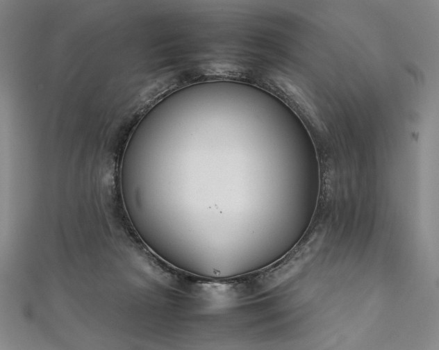 X0000111920265200908031211