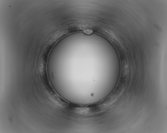 X0000111920266200908031211