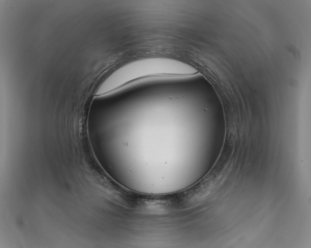 X0000111920268200908031211