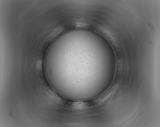 X0000111920269200908031211