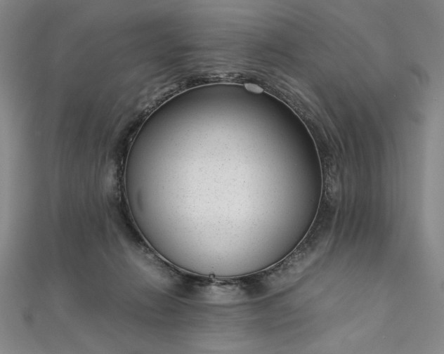 X0000111920270200908031211