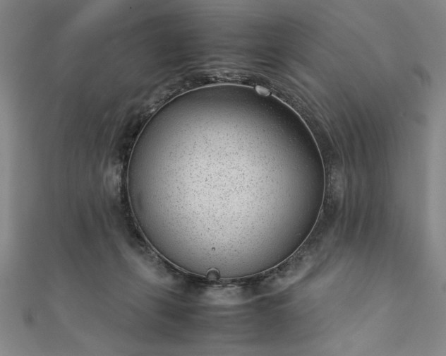 X0000111920271200908031211