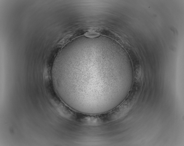 X0000111920272200908031211