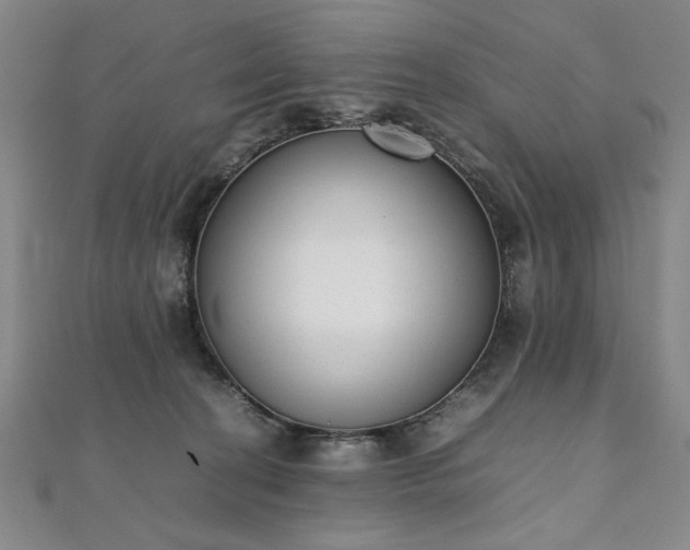 X0000111920274200908031211