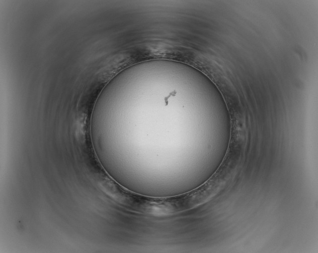 X0000111920275200908031211