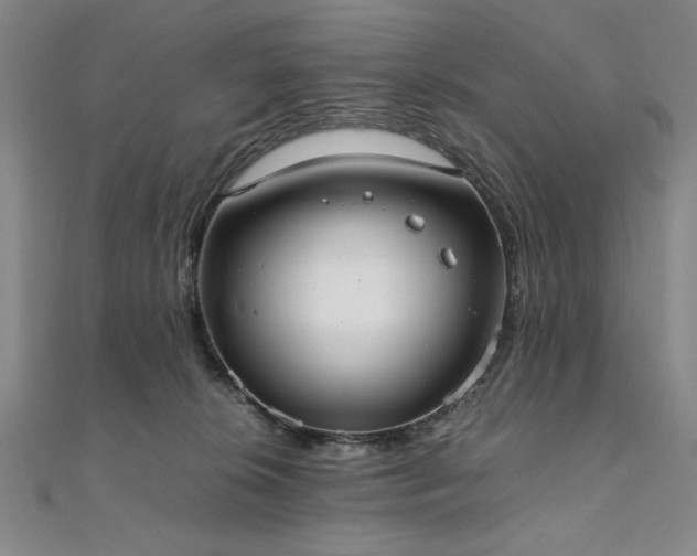 X0000111920276200908031211