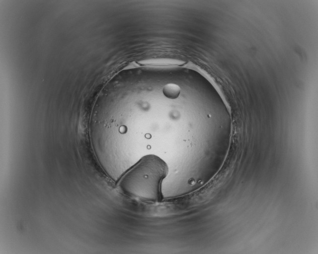 X0000111920277200908031211