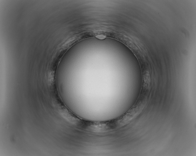 X0000111920278200908031211