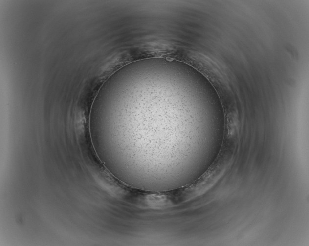 X0000111920279200908031211