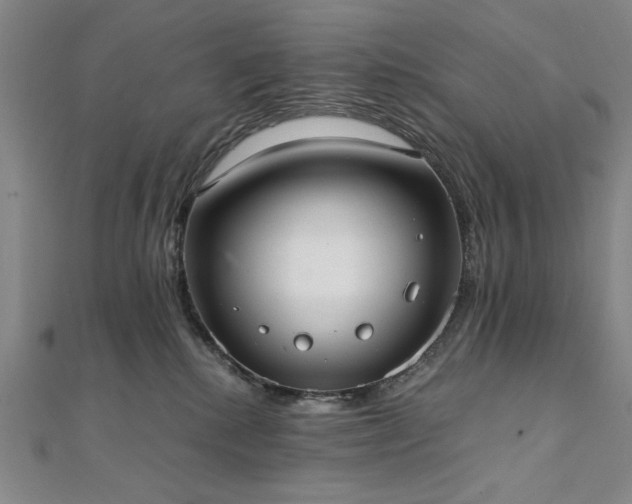 X0000111920280200908031211