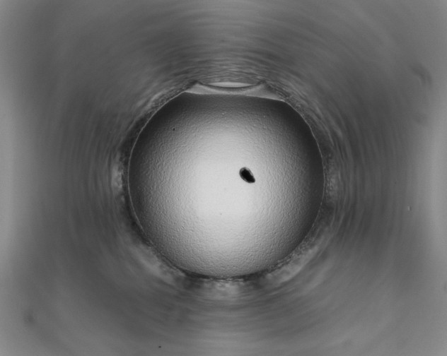 X0000111920282200908031211