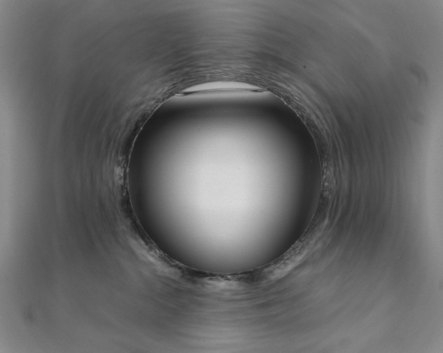 X0000111920284200908031211