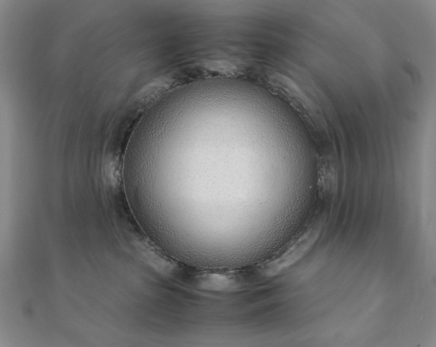 X0000111920285200908031211