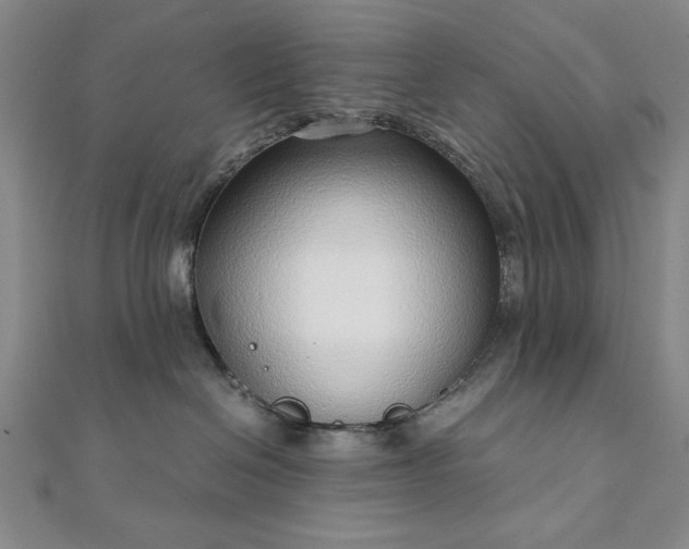 X0000111920286200908031211