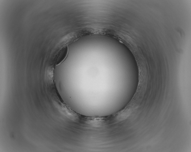 X0000111920288200908031211