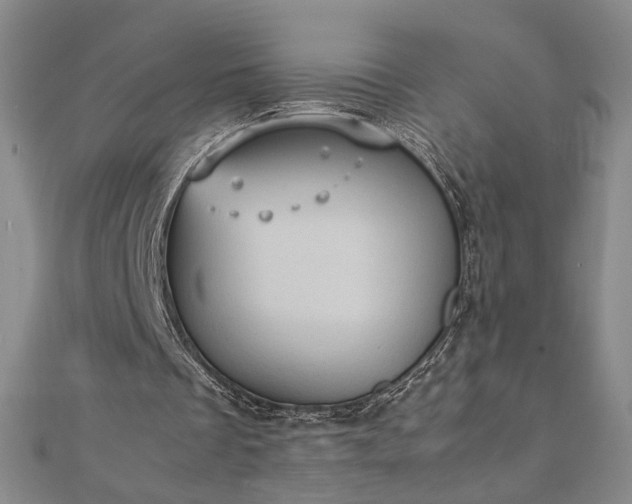 X0000111920289200908031210