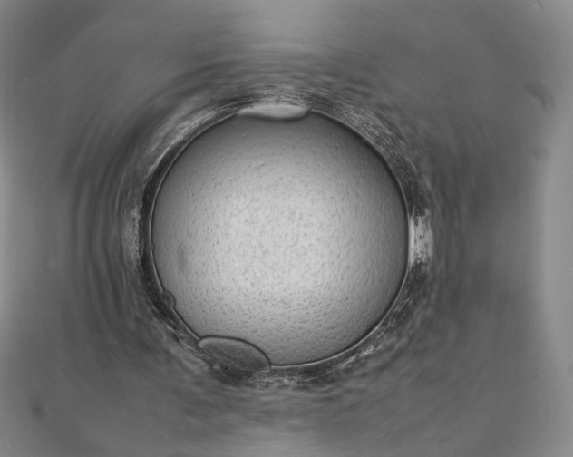 X0000111920291200908031210