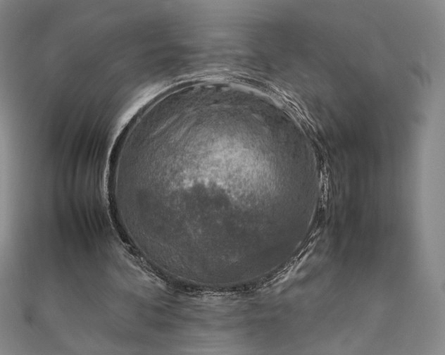 X0000111920292200908031210