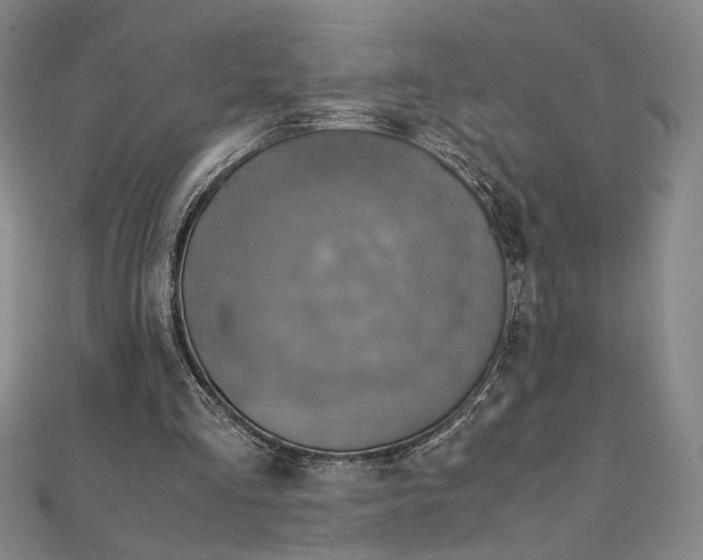 X0000111920293200908031210