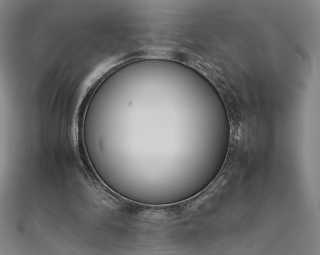 X0000111920294200908031210