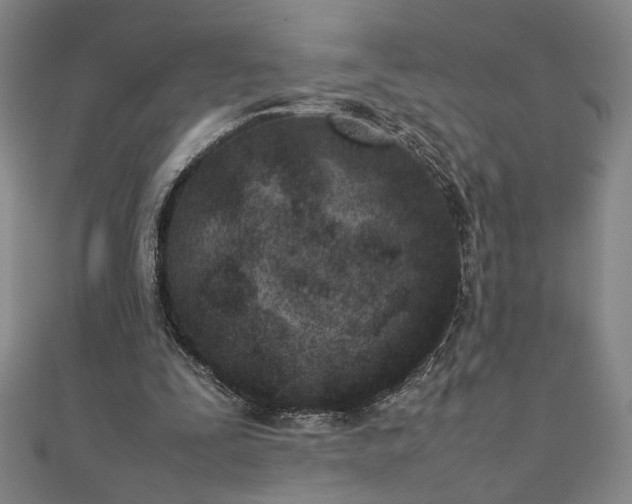 X0000111920295200908031210