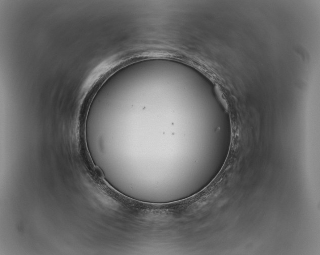 X0000111920296200908031210