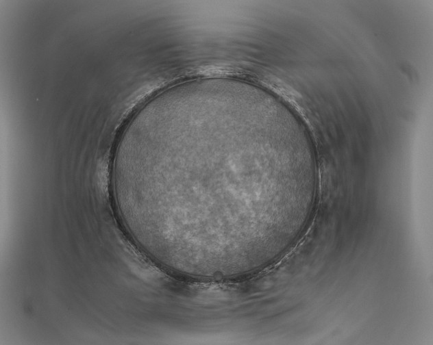 X0000111920297200908031210