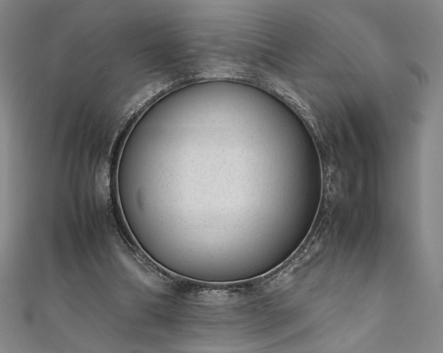 X0000111920298200908031210