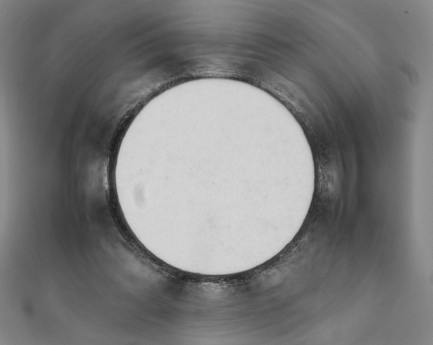 X0000111920302200908031210