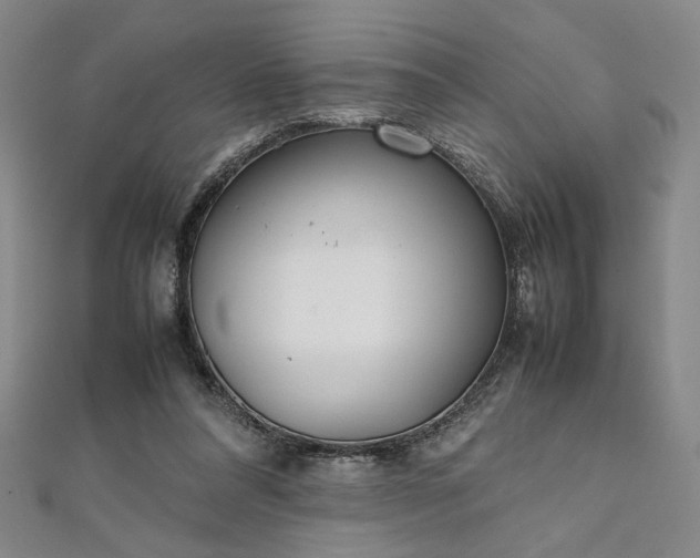 X0000111920304200908031210