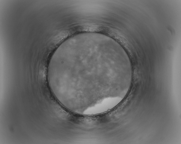 X0000111920305200908031210