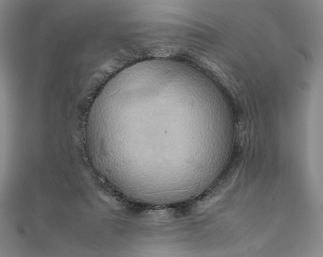 X0000111920307200908031210