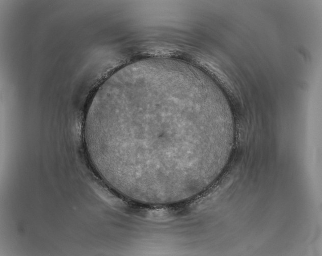 X0000111920309200908031210