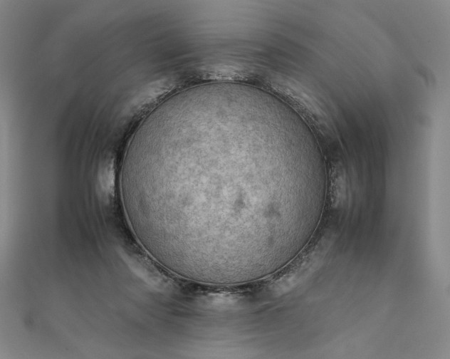 X0000111920310200908031210