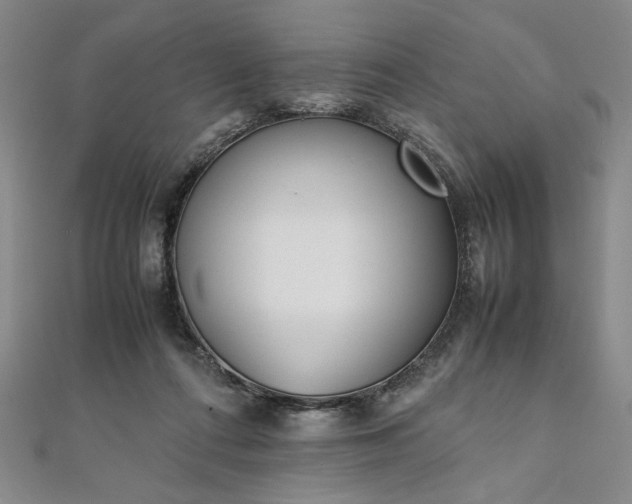 X0000111920312200908031210